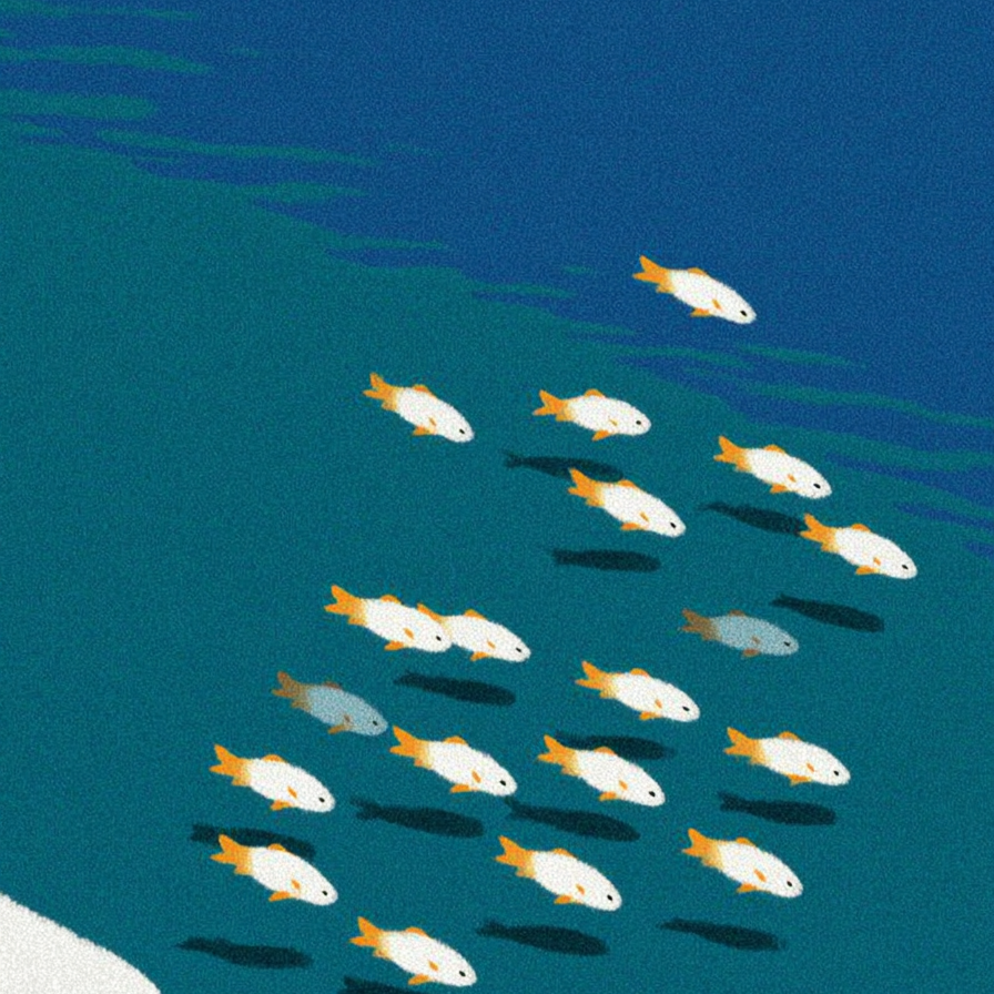 魚の挿絵